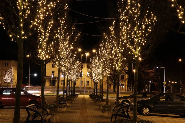 Weihnachtszwiebeln Bäumen Schaffen Eine Schöne Straße Zwischen Bäumen Hintergrund Ist — Stockfoto