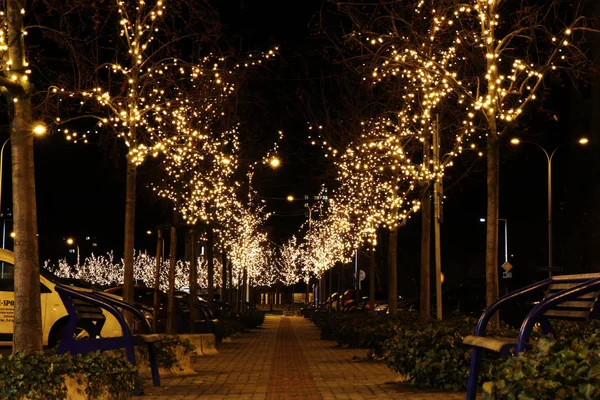 Bir güzel Noel sokakta Frydek Mistek şehir. Noel Çek Cumhuriyeti ile geliyor. Güzel Noel ağaçları ve ampuller square yakınındaki.