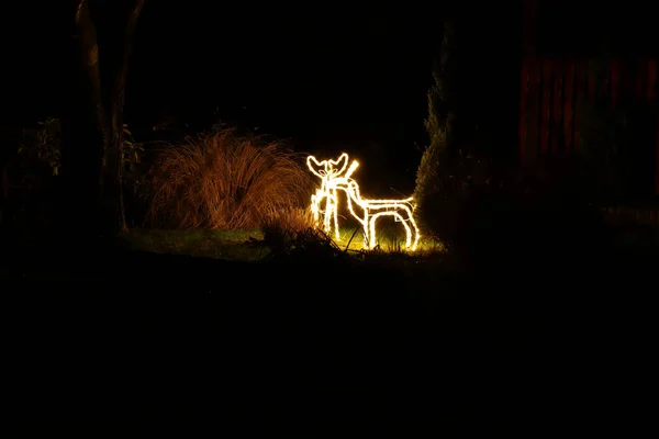 Small Santa Clauss Reindeers Created Small Bulbs Lighting Garden — Stock Photo, Image