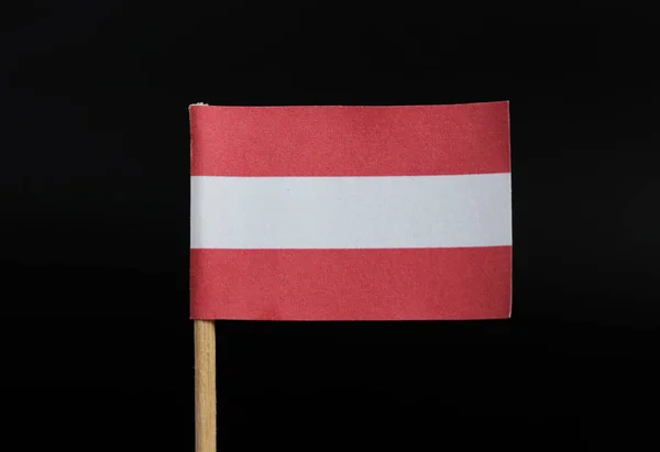 Μια Μοναδική Και Πολύ Απλό Σημαία Της Αυστρίας Σχετικά Οδοντογλυφίδα — Φωτογραφία Αρχείου