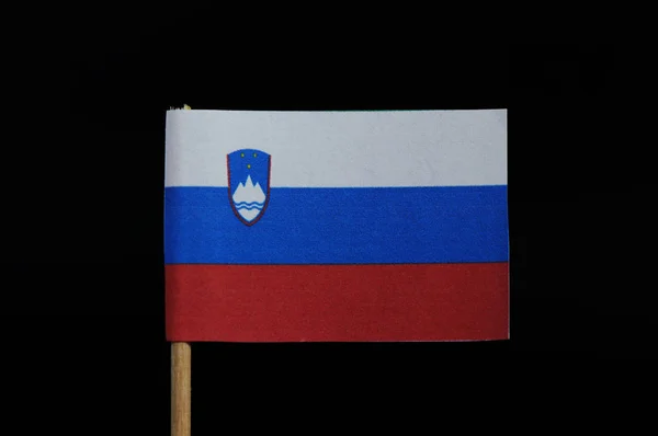 Ursprungliga Nationella Sloveniens Flagga Tandpetare Svart Bakgrund Horisontell Trikolor Vitt — Stockfoto