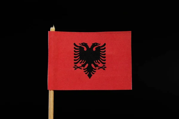 Eine Offizielle Nationalflagge Albaniens Auf Zahnstocher Auf Schwarzem Hintergrund Ein — Stockfoto