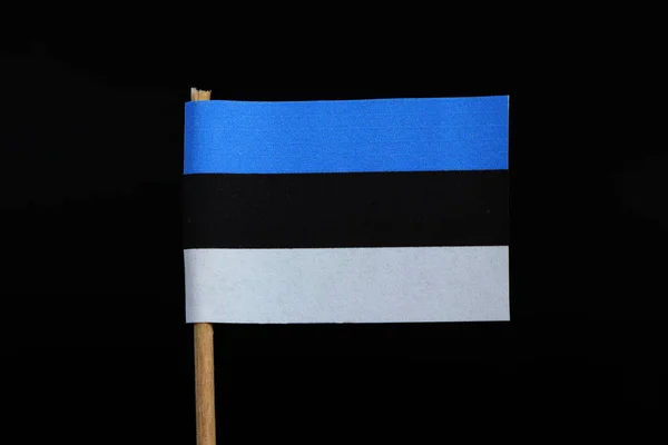 Bandera Oficial Nacional Estonia Sobre Palillo Dientes Sobre Fondo Negro —  Fotos de Stock