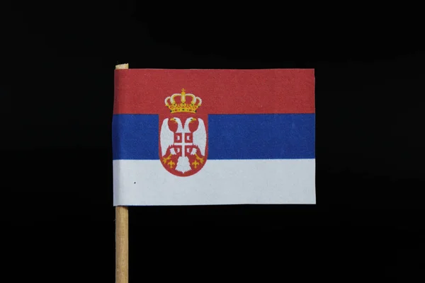 在黑色背景的牙签上的塞尔维亚国旗 蓝色和白色的水平三色 有徽章 — 图库照片