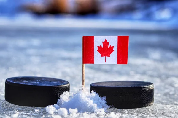 Kanada bayrağı üzerinde kürdan iki hokey adam arasında. Bir Kanada olacak Dünya Kupası Grup A. 2019 IIHF Dünya Şampiyonası Slovakya oynarken