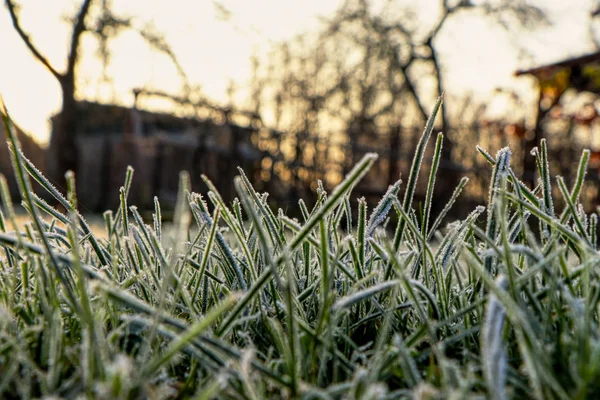 Un suelo frío con tallo de hierba que están cubiertos de nieve. Un sol que se abre al día siguiente en el cielo y se enciende — Foto de Stock