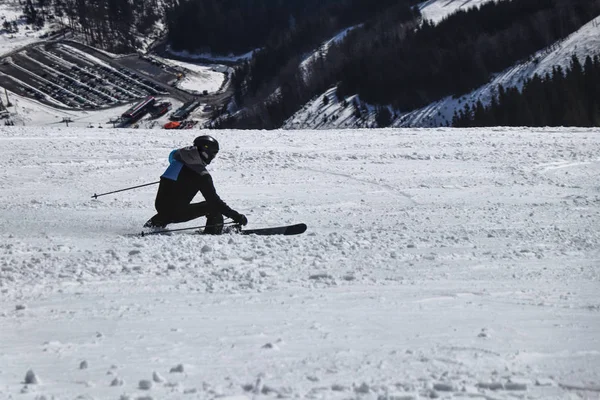 Tallado de estilo. Un esquiador masculino entrenando en competición en descenso. Posición de tallado. Chaqueta negra y azul. Chopok, Baja Tatras, Eslovaquia. Esquiar. Freeride —  Fotos de Stock