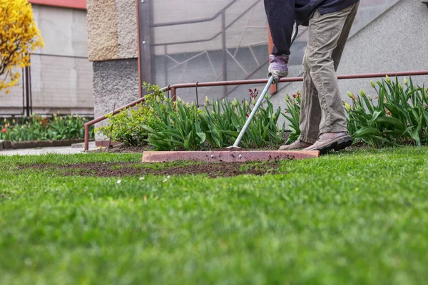 L'uomo adulto sta cercando di fare superficie allo stesso livello. Il lavoratore estivo sta montando il giardino. L'uomo sta usando lo strumento per allineare la superficie nel giardino. Piantare semi d'erba. Ricostruzione giardino — Foto Stock