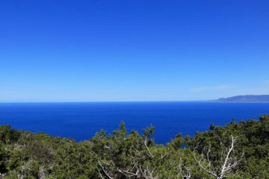 Akamas Yarımadası Milli Parkı, Kıbrıs mavi gökyüzü ile berrak Akdeniz manzarası. Bulutlar olmadan. Kıbrıs adasının kuzey kısmı. Uzaya bak. Okyanusta Ufuk.