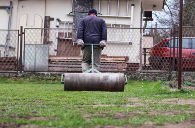 Yetişkin adam yardım çim rulo ile bahçe pürüzsüz olun. Bahçede kirli ve sıkı çalışma. Yaz gönüllüarkasında ağır rulo çeker ve yüzeyi hizalar