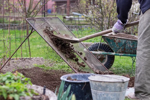 L'uomo adulto lavora in giardino. Uomo pala terreno attraverso schermo fatto in casa per la cernita su pietre e argilla. Dispositivo fatto in casa per setacciare argilla. Pala, ruota. Lavori di architettura del paesaggio. Un gran lavoratore. Lavoro manuale . — Foto Stock