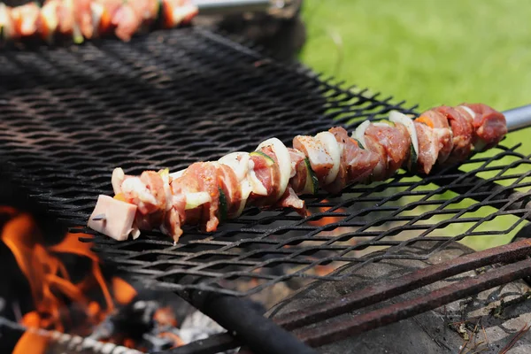 Barbekü için hazırlanmış et. Aile ile kamp yangınında rahatlayın. Özel ızgara demir sopa üzerinde sebze ile alternatif tavuk ve hindi eti. Izgara yanan alev altında — Stok fotoğraf