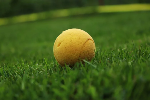 Yellow softennis ball lies in english grass. Ready for play. It is waiting for take and hit. One ball and stirs up many feelings
