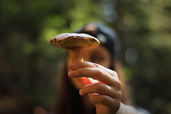 Típico bolete de gamuza de setas checas. Xerocomus subtomentosus en las manos de la maravillosa joven. Seta cazador nos muestran su aburrido bolete marrón o bolete agrietado amarillo — Foto de Stock