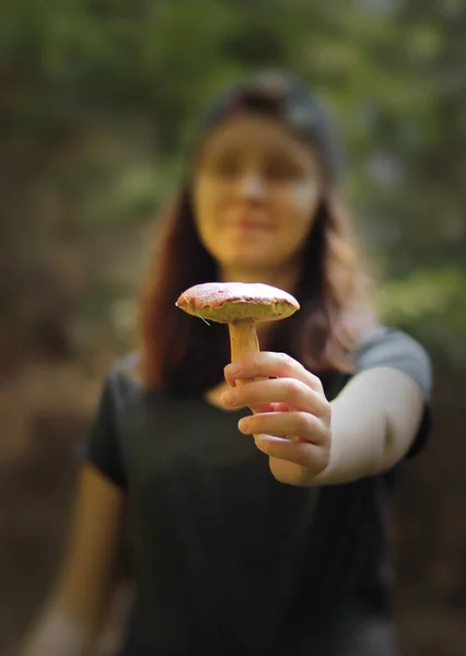 Xerocomus subtomentosus i rampljuset. Mushroomer visar henne samla i skogen. Mocka Kantarell i handen. Gulsprucken bolete. Svamp säsongen börjar just nu. — Stockfoto