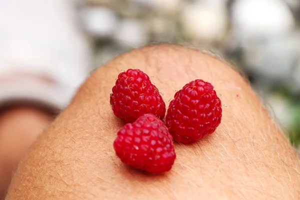 Three pieces of raspberries perfectly colored in red on my hairy knee. Red-fruited raspberries. Rubus idaeus good snack for every day. Tasty fruit in summer