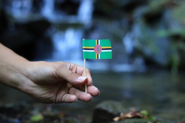 Famous flag of Dominica in hands near river. Concept of humanity and nature. Promoting nature and the state. Young boy holds Dominican flag and waves on others. clipart