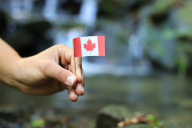 Colour man has in hand national flag of Canada on wooden stick. He waves with state symbol near a river. In the background are beautiful canadian waterfalls.  clipart
