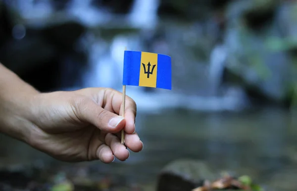 Bandiera delle Barbados su bastone di legno. L'uomo di colore tiene l'athem nazionale vicino alla cascata sul flusso nei periodi di autunno. Concetto di umanità e natura. Barbados in mano. Bandiera per il pacchetto. Simbolo dei cittadini — Foto Stock