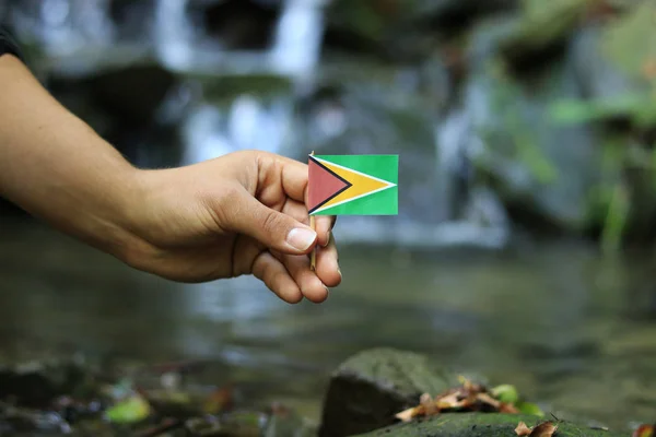 Il giovane tiene la bandiera nazionale della Guyana su bastone di legno. Teenager dà rispetto allo stato nazionale della Repubblica di Guyana. Flusso e bellezza della natura sullo sfondo. Concetto di onniscienza e prosperità — Foto Stock