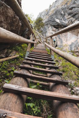 Avusturya 'nın güneydoğusunda Styria' da güzel bir vadide eski ama sağlam bir tahta merdiven. Ayı geçidi. Barenschutzklamm. Hazineye giden yol. Fischbach Alplerinde güzel şelaleler boyunca patika.