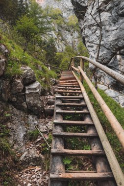 Avusturya 'nın güneydoğusunda Styria' da güzel bir vadide eski ama sağlam bir tahta merdiven. Ayı geçidi. Barenschutzklamm. Hazineye giden yol. Fischbach Alplerinde güzel şelaleler boyunca patika.