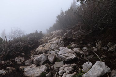 Avusturya 'nın Fischbach Alpleri' ndeki Hochlantsch dağının iç kesimlerinde korkunç bir patika var. Kayaya oyulmuş çamurlu bir yol. Tehlikeli bir yol. Kesin konsantrasyon.