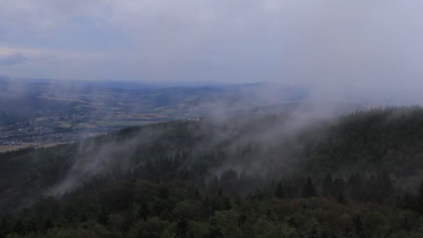 Evaporation Humidité Des Forêts Après Les Pluies Récentes Brouillard Roulant — Video