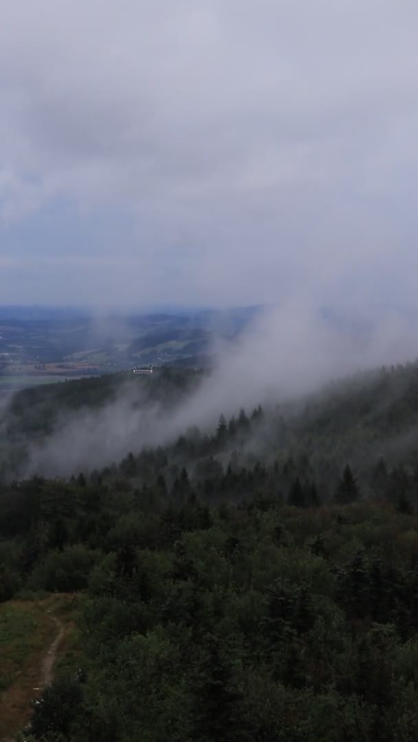 Evaporation Moisture Forests Recent Rains Fog Rolling Jetd Ridge Liberec — Stock Video