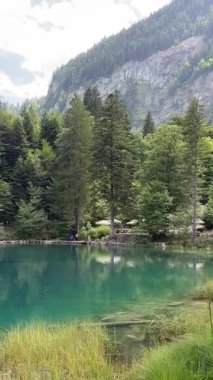 İsviçre 'deki kristal berraklığında Blausee Gölü, suyun o kadar şeffaf ki aşağıda yüzen balıkları görebilirsiniz. Saf dağlık doğa, huzurlu atmosfer ve çarpıcı doğal güzellik. Kandergrund 