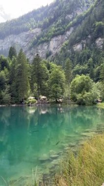 İsviçre 'deki kristal berraklığında Blausee Gölü, suyun o kadar şeffaf ki aşağıda yüzen balıkları görebilirsiniz. Saf dağlık doğa, huzurlu atmosfer ve çarpıcı doğal güzellik. Kandergrund 
