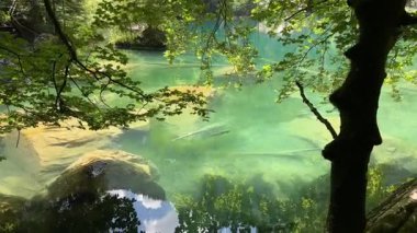 İsviçre 'deki kristal berraklığında Blausee Gölü, suyun o kadar şeffaf ki aşağıda yüzen balıkları görebilirsiniz. Saf dağlık doğa, huzurlu atmosfer ve çarpıcı doğal güzellik. Kandergrund 