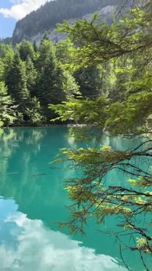 İsviçre 'deki kristal berraklığında Blausee Gölü, suyun o kadar şeffaf ki aşağıda yüzen balıkları görebilirsiniz. Saf dağlık doğa, huzurlu atmosfer ve çarpıcı doğal güzellik. Kandergrund 