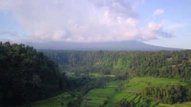 Günbatımında, Endonezya, Bali 'de, turkuaz dalgalı bir deniz tarafından yıkanan güzel adanın göz kamaştırıcı manzarası. Endonezya 'da yaz günü mavi gökyüzünün altındaki dağlara karşı plantasyonlar