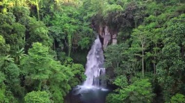Yağmur ormanlarındaki yemyeşil bir şelaleden yağmur ormanlarındaki şelaleye hava görüntüsü. Tropik bir manzara. Macera ve seyahat konsepti. Doğa geçmişi. Şelale Bali, Endonezya