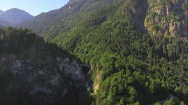 Bavyera Alpleri, Almanya 'daki Neuschwanstein Şatosu, Yaz manzarası - Bavyera Alpleri' ndeki ünlü turistik cazibe manzarası - 19. yüzyıl Neuschwanstein şatosu yeşil dağlar arasında. 