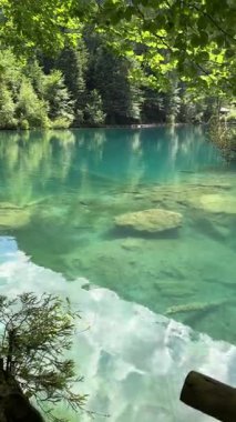 İsviçre 'deki kristal berraklığında Blausee Gölü, suyun o kadar şeffaf ki aşağıda yüzen balıkları görebilirsiniz. Saf dağlık doğa, huzurlu atmosfer ve çarpıcı doğal güzellik. Kandergrund 