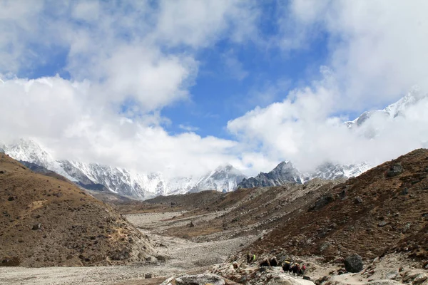 Tourné Depuis Sentier Everest Basecamp Népal — Photo