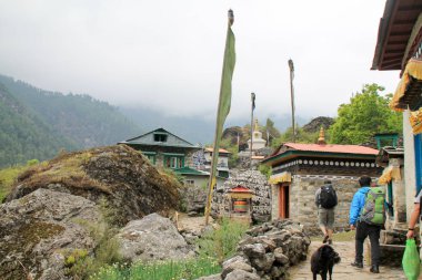 Nepal 'deki Everest Temel Alanı' ndan çekilmiş.