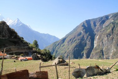 Namche'nın Bazaarı Nepal Everest Basecamp izi ateş