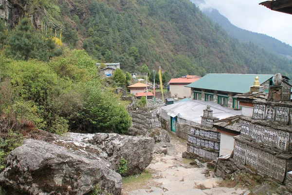 Tourné Depuis Sentier Everest Basecamp Népal — Photo