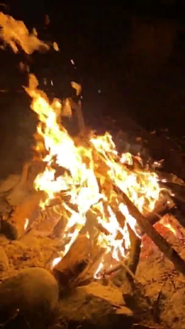 Dřevo Hoří Oheň Krb Zpomaluje Pohyb — Stock video