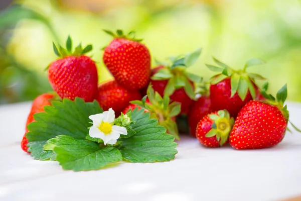 Strawberry Flower Lies White Wooden Background Next Ripe Berries — Stock Photo, Image