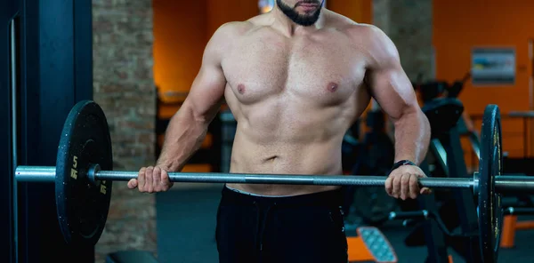 strong athlete's arms hold the bar in the gym, a handsome male body