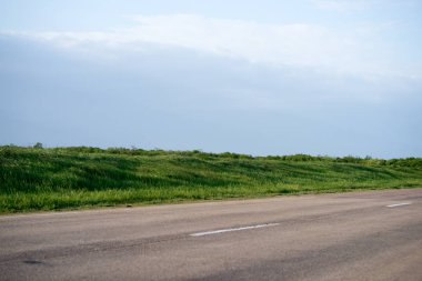 yol yeşil çim kaplı alanlarda