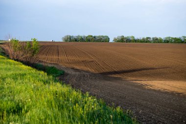 Baharda sürülen tarlalar ekime hazır..