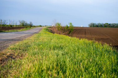 Yaz manzarası güzel bir gökyüzü güneşli bir günde bir nehir ve yol ile.