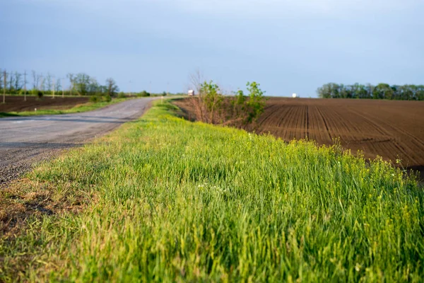 Yaz manzarası güzel bir gökyüzü güneşli bir günde bir nehir ve yol ile.