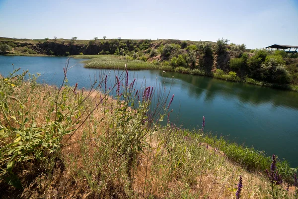 alan ve ciğeri ile güzel güneşli manzara