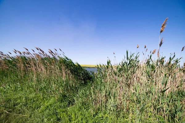 alan ve ciğeri ile güzel güneşli manzara